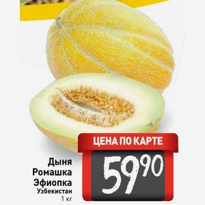 Схема посадки дыни эфиопка