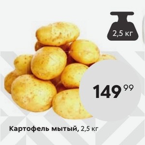 1 5 кг картошки