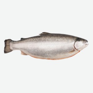 Форель Мурманск Inarctica морская охлажденная, ~4.5кг Цена за 1 кг.