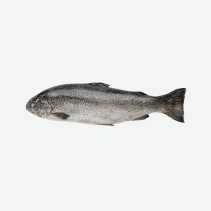 Форель Карельская потрошеная с головой, ~1.5кг Цена за 1 кг.