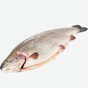 Форель Карельская потрошеная с головой охлажденная, ~3кг Цена за 1 кг.