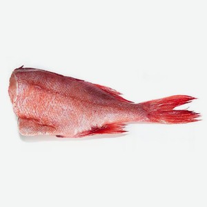 Окунь красный морской потрошенный без головы 300+