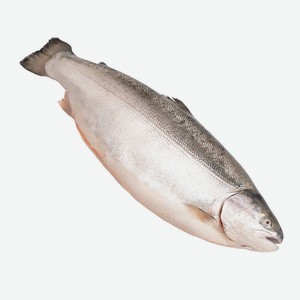 Форель Мурманск Inarctica ORD охлажденная, ~3.5кг Цена за 1 кг.