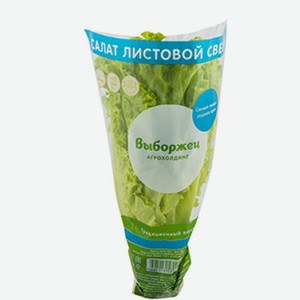 Салат афицион в горшочке, 90 г, Россия
