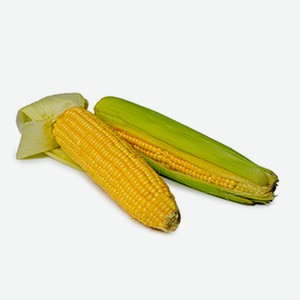 Кукуруза свежая