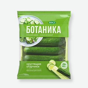Огурцы «Премиум» гладкие, «Ботаника», 420 г, Россия