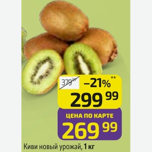 Киви новый урожай, 1 кг
