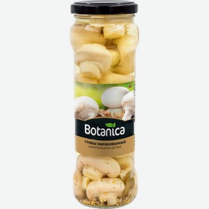 Грибы Botanica Шампиньоны маринованные 370мл
