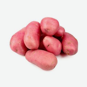 Картофель красный Азербайджанский молодой
