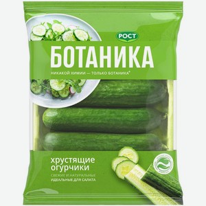 Огурцы Ботаника фасованные, 420г