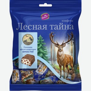 Конфеты Konti Лесная Тайна, 200г