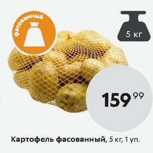 В Магазине Картофель Расфасовали В 24