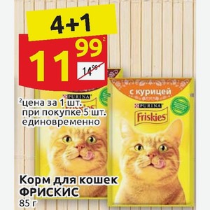 Дикси корм для кошек. Дикси кошачий корм. Корм для кошек в Дикси. Дикси акции корм для кошек. Скидки в Дикси на корм для кошек.