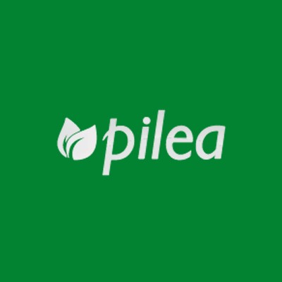 Pilea