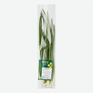 Лук зеленый Маркет Fresh, 100 г