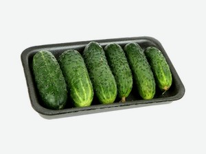 Огурцы короткоплодные в лотке 450 г Россия
