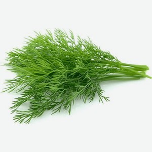 Укроп Лето, 50 г