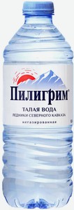 Вода минеральная Пилигрим негазированная, 500 мл