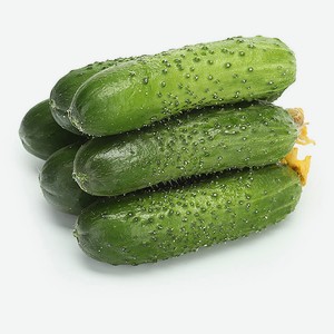 Огурцы короткоплодные, весовые
