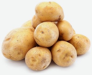 Картофель весовой, Россия