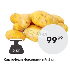 В Магазине Картофель Расфасовали В 24
